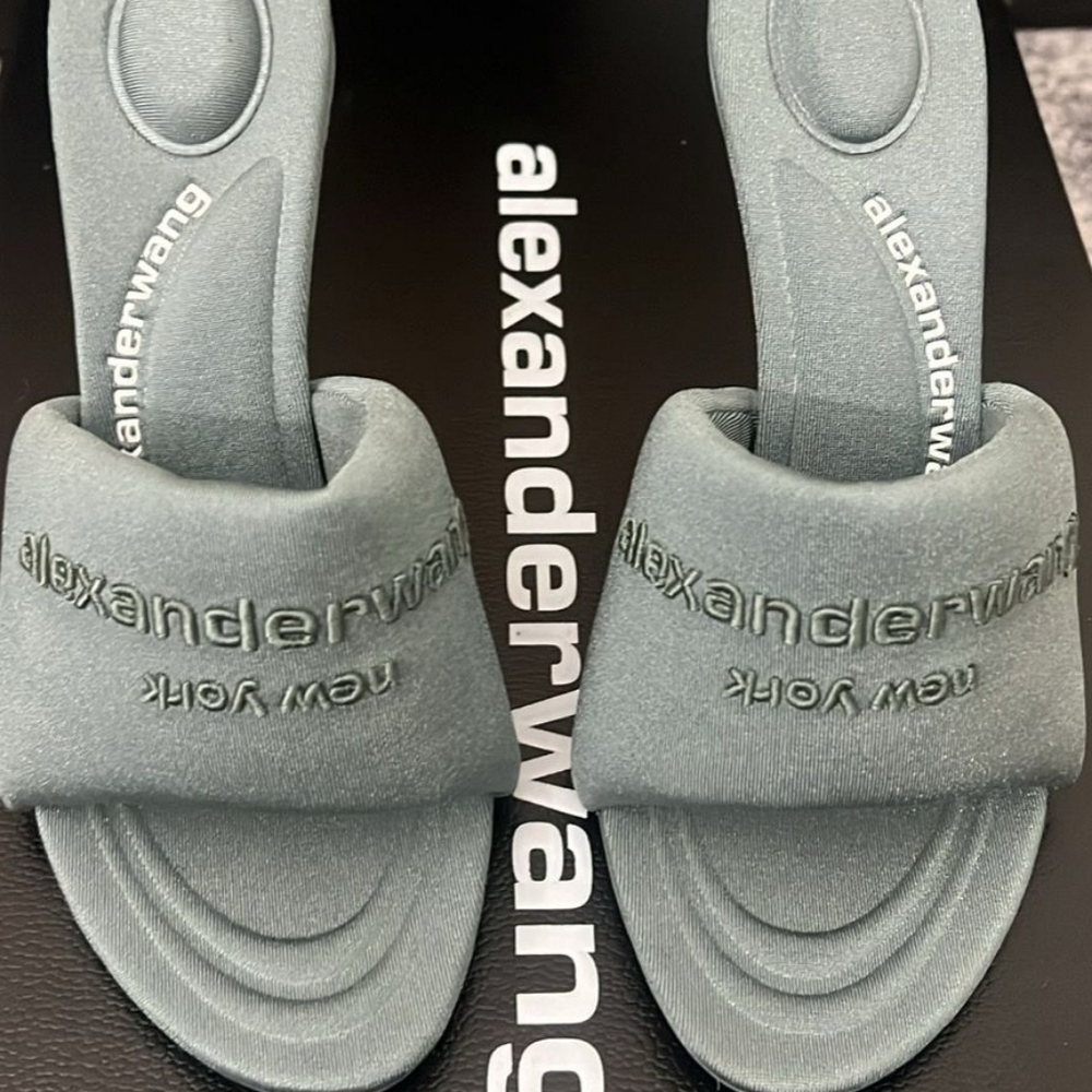 Alexander Wang Women's Blue Sandals (Worn Once)